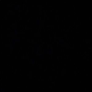 Meet your Posher, Ayeisha